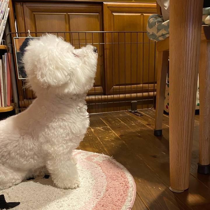 9efc5e4d 5844 4a0e b407 f32060578293 1635494891241