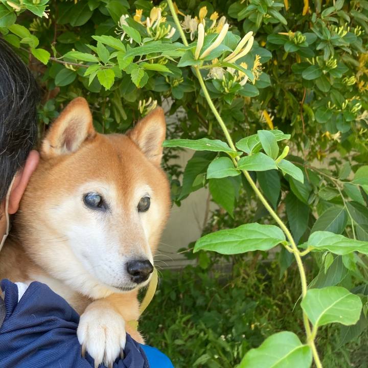 9efc7262 2eda 4e58 92de 5f9325b30289 1683275813277