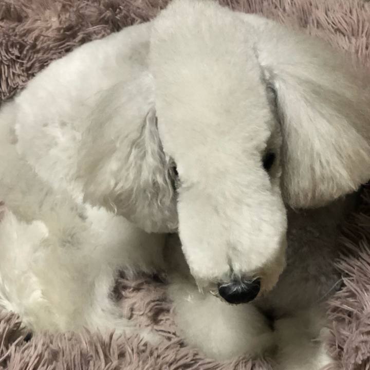 9efcc410 dea9 4379 9c4a 736a25adc221 1673162757755