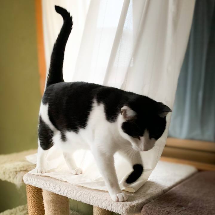 9efce5b6 bec0 4410 8f60 7589dad998e1 1576720531701