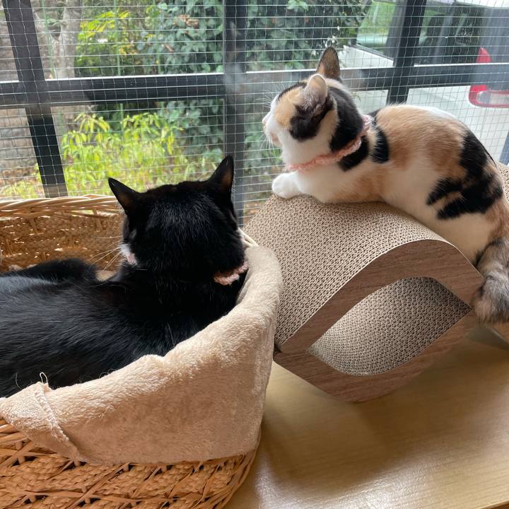 9efcfb1e cb02 4d6f 9004 ba757fc1ee06 1667606708881