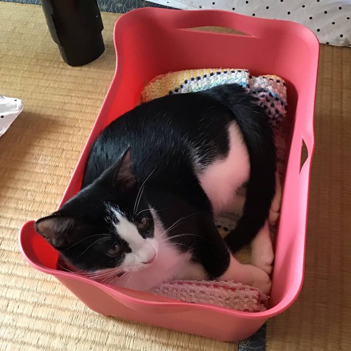 9efd0f72 dd01 42d7 b282 c5454c53dfc8 1628643689863