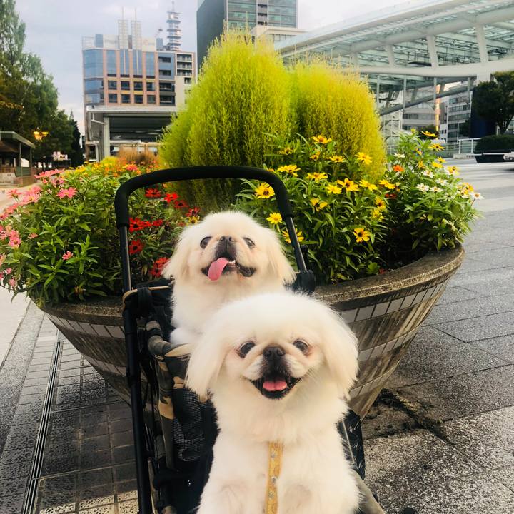 9efd38ed 87e8 4759 ae60 aac3191aa578 1600725273273