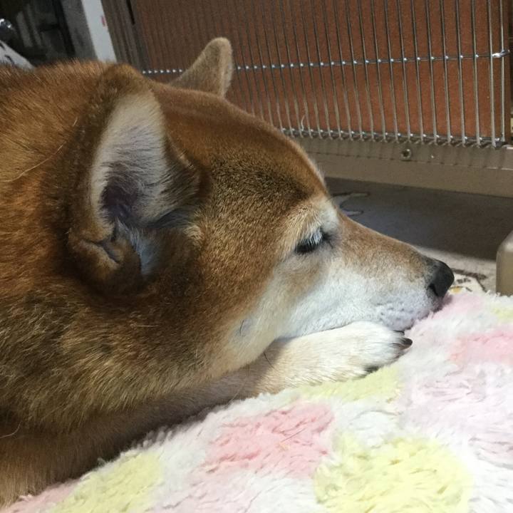 9efd75fe 8d54 496b 8d47 972ad7df10ff 1608419568836