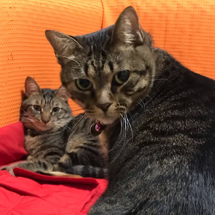 9efda94f 1b1b 42c3 8090 3c5f89c779d8 1543677185158