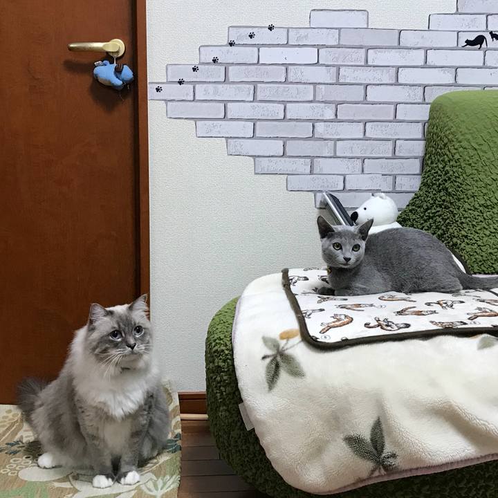 9efdad4f 4954 4721 a095 8406565b0a52 1508043177454