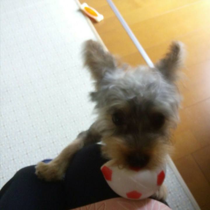 9efdb897 162c 47e4 9276 51104665d938 1534665701258