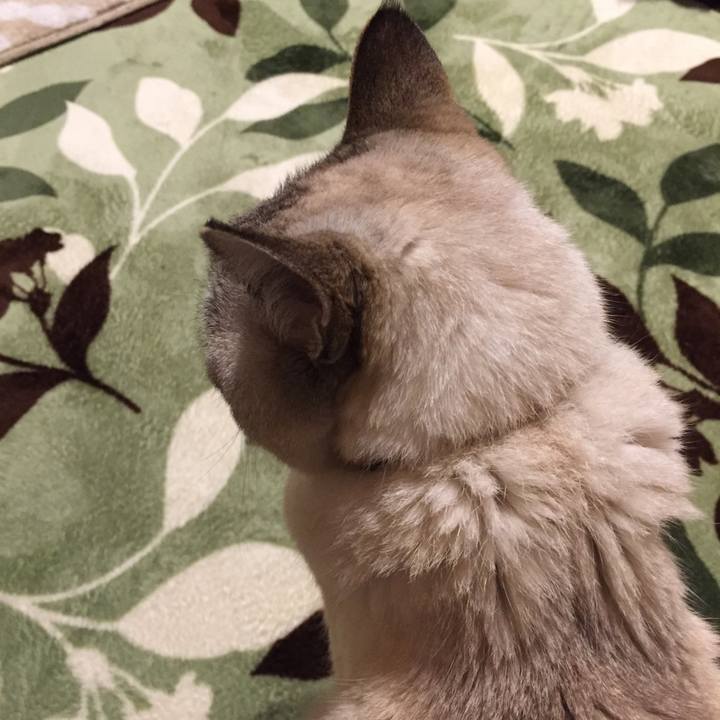 9efdc9eb 4072 46f6 b1ac 016ee8aa8846 1587562097257