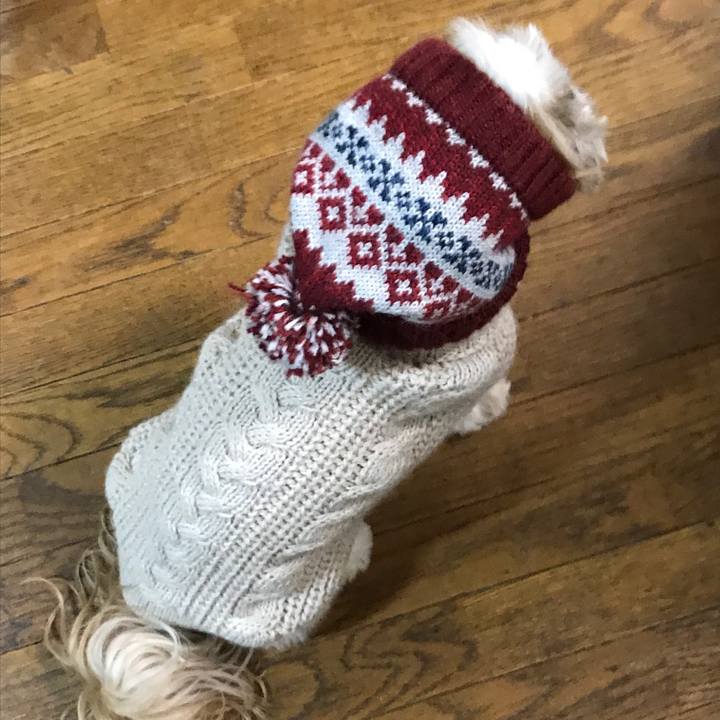 9efdca39 a472 4fb8 bcc6 91c4e5b178f4 1547968932767