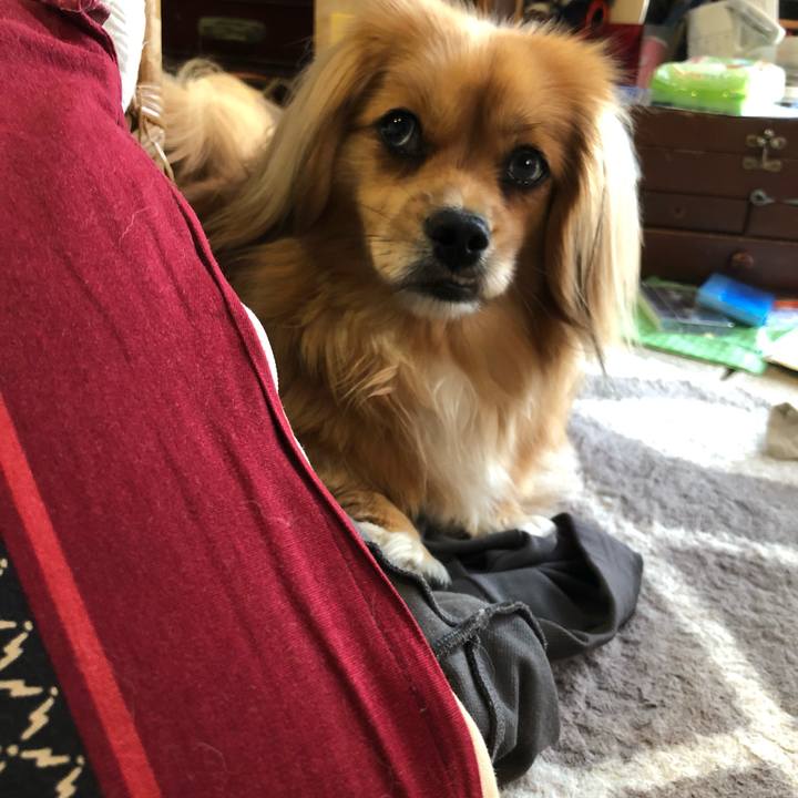 9efdf7d6 685a 4cd9 9353 cff6e6014a37 1559598562435