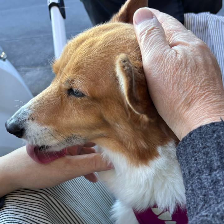 9efe53a8 744d 4257 8b72 a2180f18b60c 1735633377645