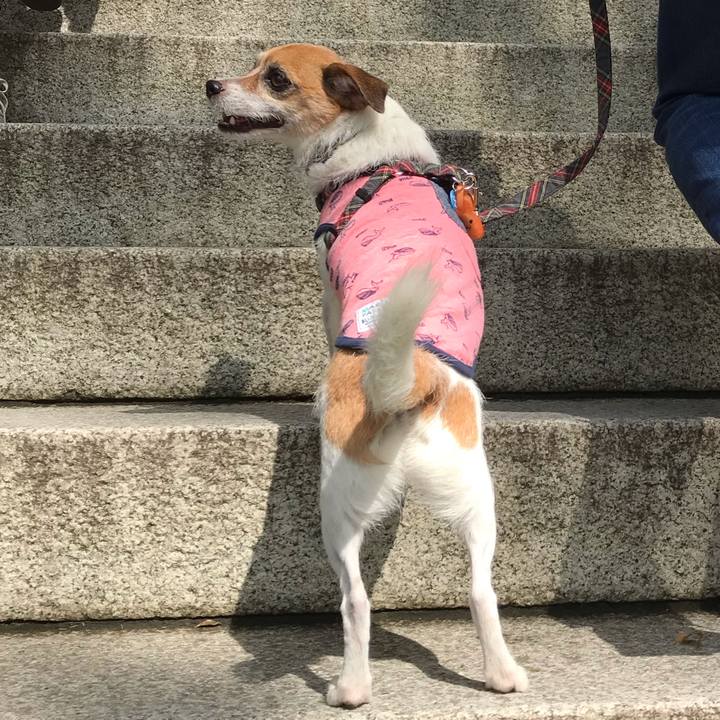 9efe80c8 9f1c 4297 a208 d0e7755c2301 1538807437313