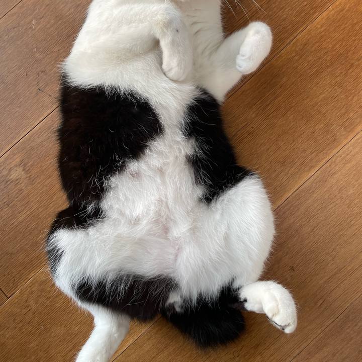 9efe994a 77d5 4135 b889 42eb81ddfbbc 1685175287844