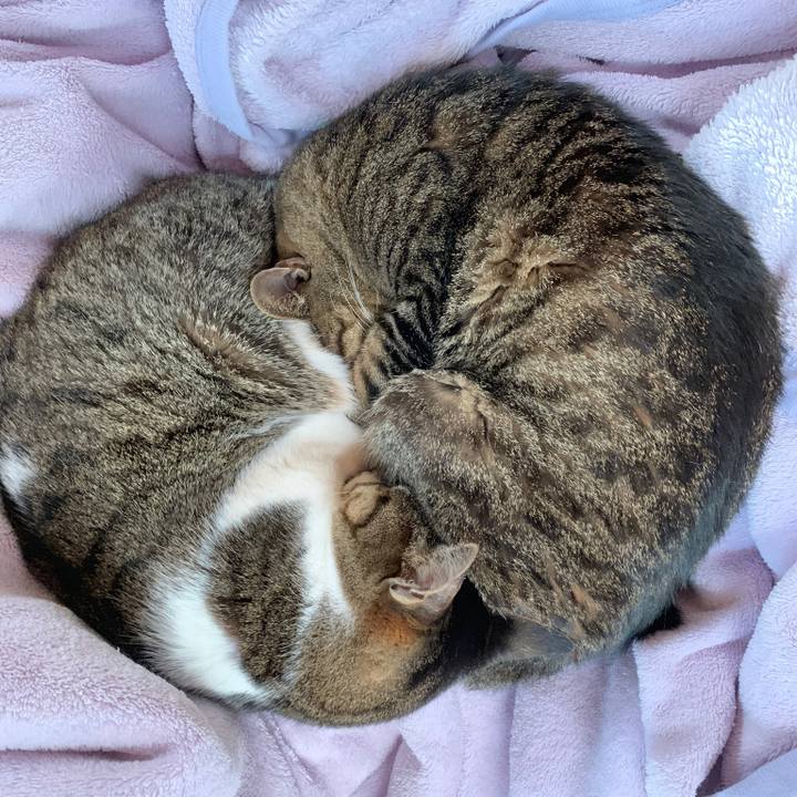 9efee0a2 53ec 4012 beef c4d149845980 1552611505412