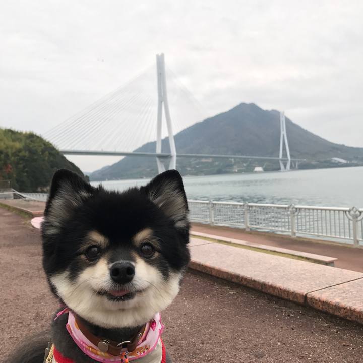 9efee343 4721 4a45 bbfc 6b5f40a69931 1542513964835