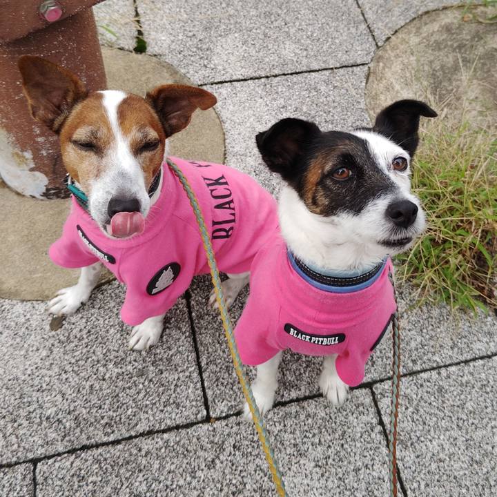 9eff0aa8 28a9 4273 8d62 647466d4a101 1727489180964