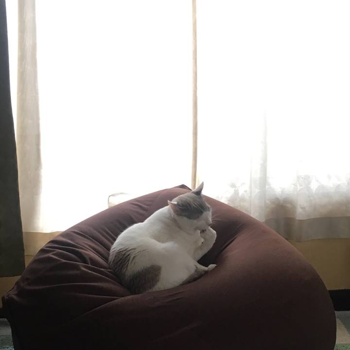 9eff22e9 655e 45b0 96eb 849cc7909e5b 1552197316797