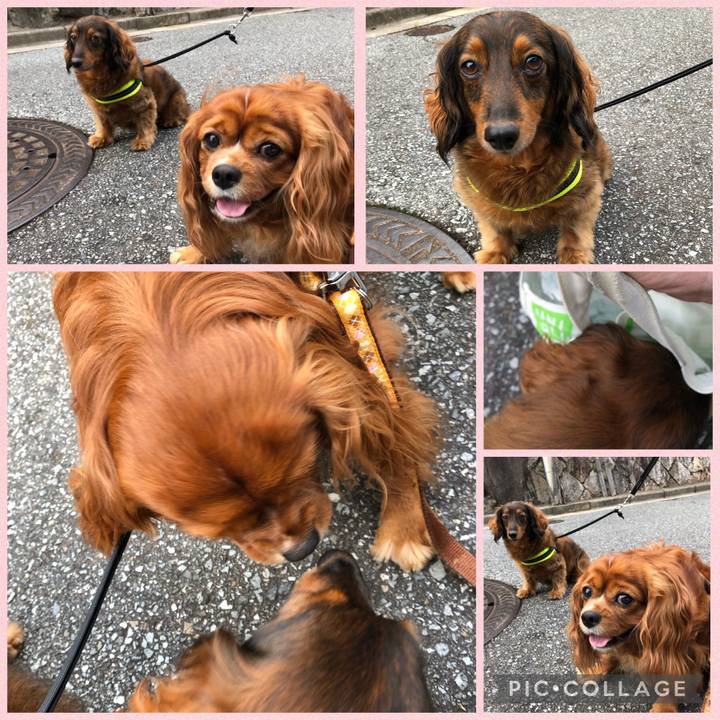 9eff66fa f76d 41d5 8153 e35222c7951f 1624790769318