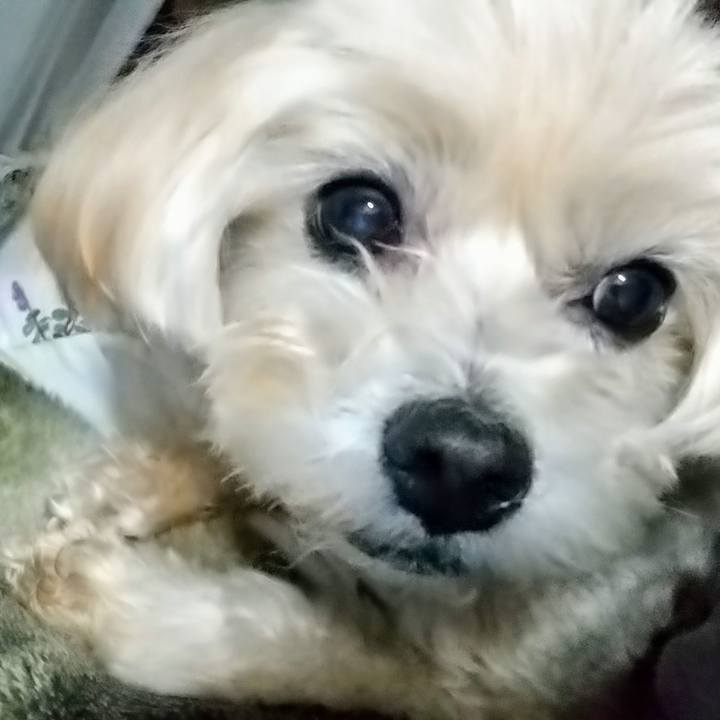 9eff8740 35d7 4ee6 be45 7e09a4999547 1577103412421