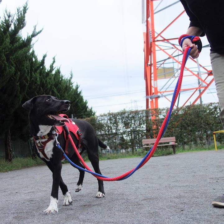 9eff9441 cde4 42aa aac8 7af5c39fdaf5 1592734217137