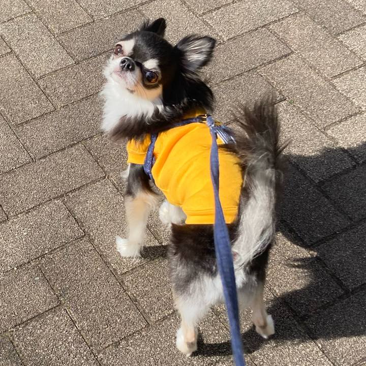 9effb2ca 0792 4b5f b41a 02ff45308e51 1678547739068