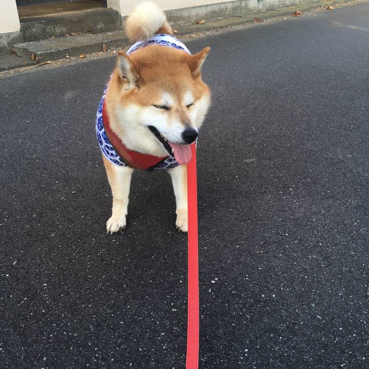 9effc03a ee50 4800 a42b 9b7989eac644 1597273070502