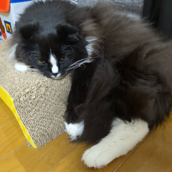 9effdd49 5680 4a00 8cb1 c92d5e4a066d 1671446211820