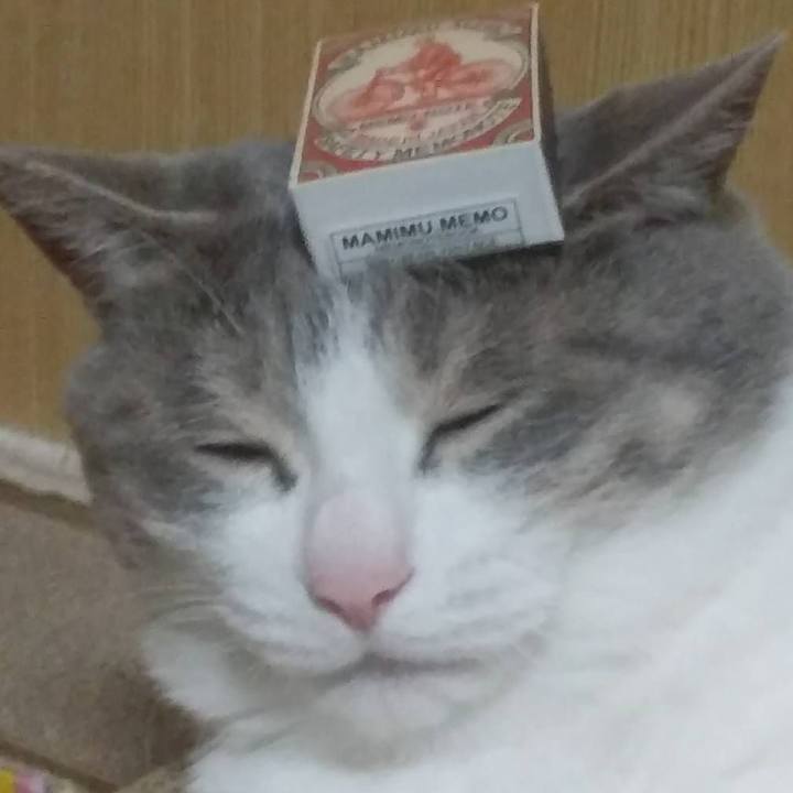 9f000540 5b65 481b 8b61 9901557a562e 1611066633162