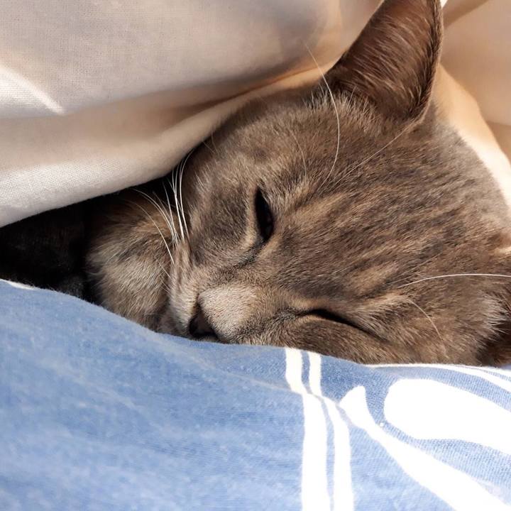 9f002ae3 e88d 4ad6 b02a 44d6858d73e6 1509438293260