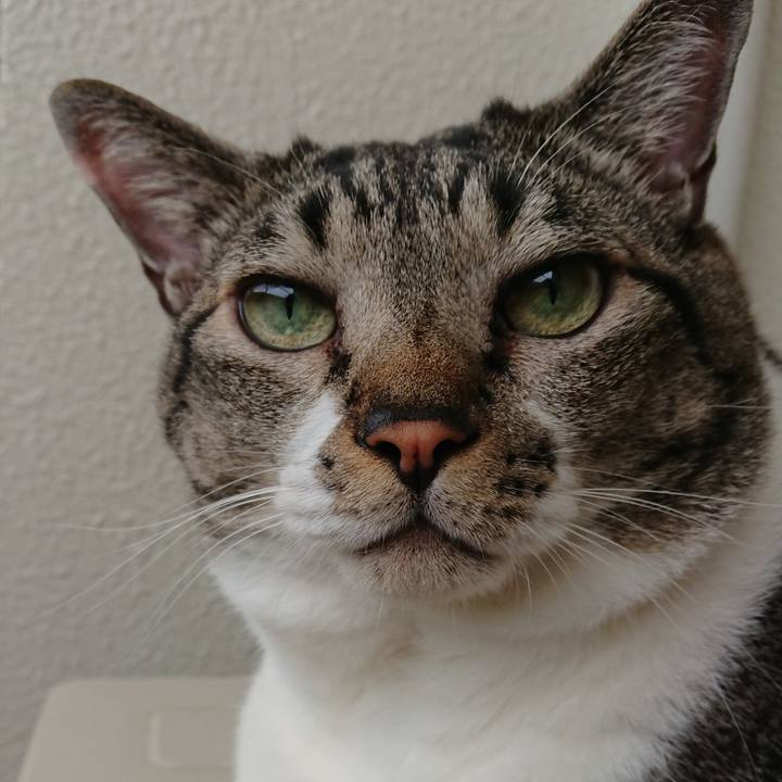 9f002b74 6f2f 4b70 8d06 62d9ea29ca17 1536555989556