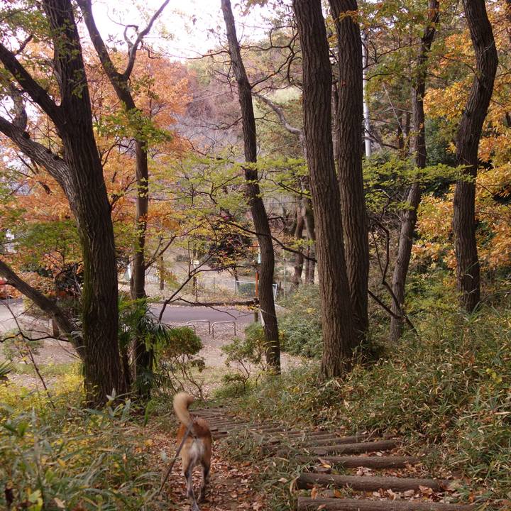 9f003870 b456 414c b04b 6744097b27fb 1653608358432