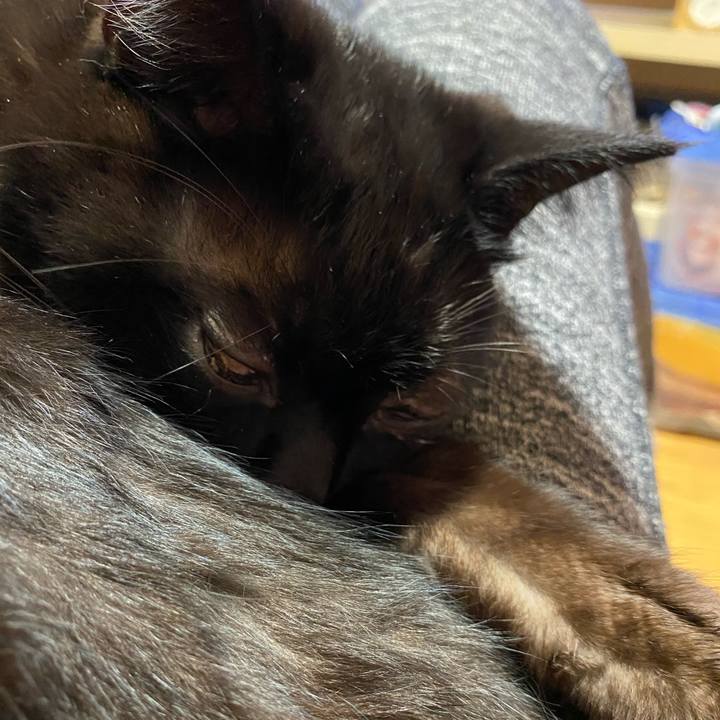 9f00483b e333 42d4 81ba 345d710ec022 1609414814497