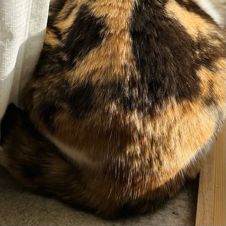 9f005651 5c4a 48fc bce5 486319d8434f 1671847173617