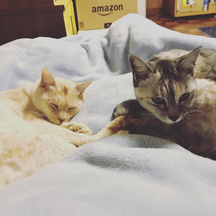 9f005d46 b839 4bef ba20 cd601274b906 1578322280754