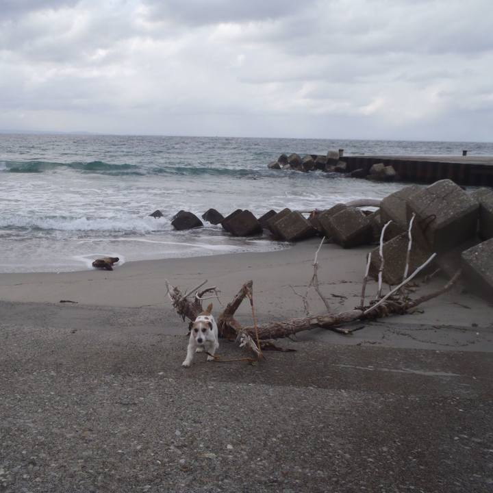 9f009d98 0a4e 4d76 ab0f 845d01e2f241 1548151582083