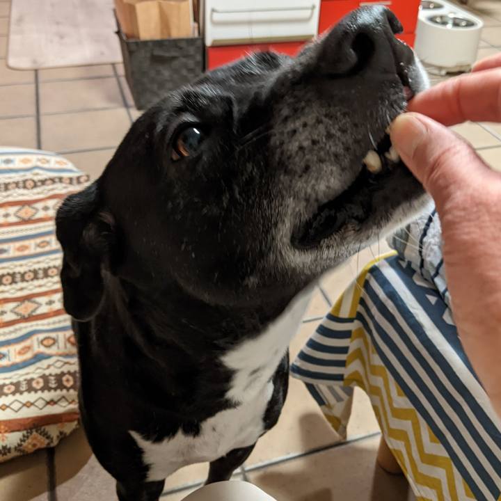 9f00c080 0a5f 420d a2db 30936ec0091c 1707563286770