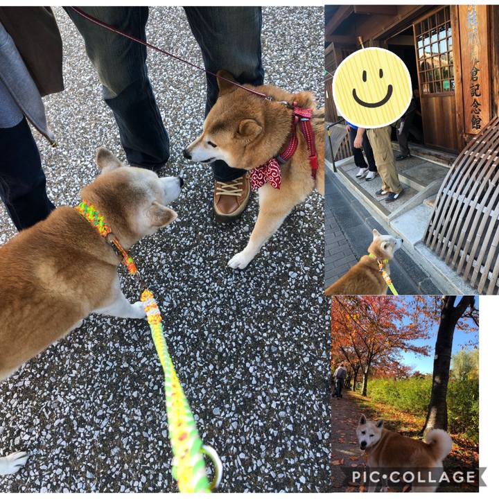 9f00ce2b eede 4057 8db9 22484f5fbeab 1574514064709