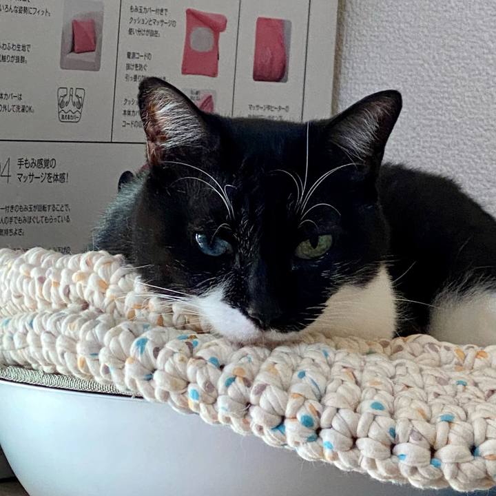 9f011ce7 e45b 42bf b242 cbaff4c4dbed 1732093738156