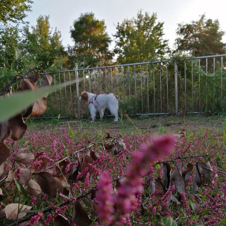 9f012e81 c80c 4a6f 938c 920f53a5c2ea 1604230419795