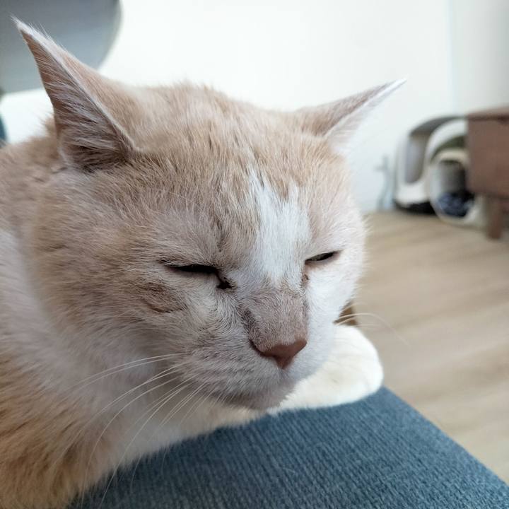 9f013ef2 7734 4669 b42b e9a090899806 1694211748981