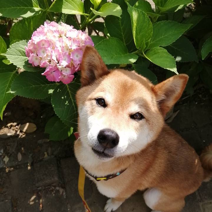 9f017755 1a9f 4e29 9ee2 61d852d13c6e 1591665118208