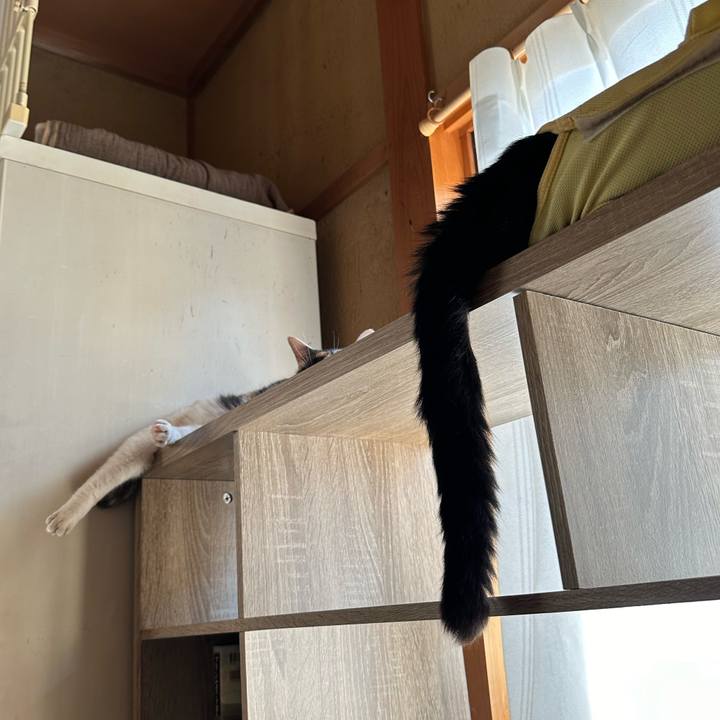 9f019fc9 0d87 4cf8 bab2 9388a15bcf5a 1723426005535