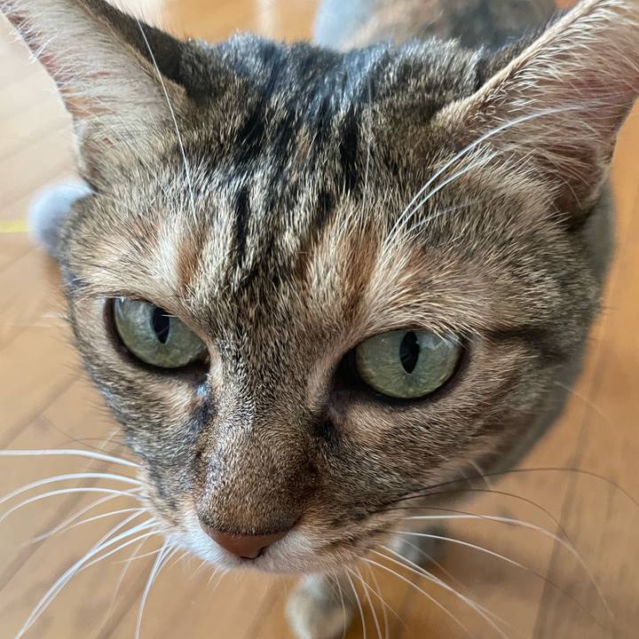 9f01e5e8 7b5a 4b97 ab9f 7f156baf8a4e 1699059633336