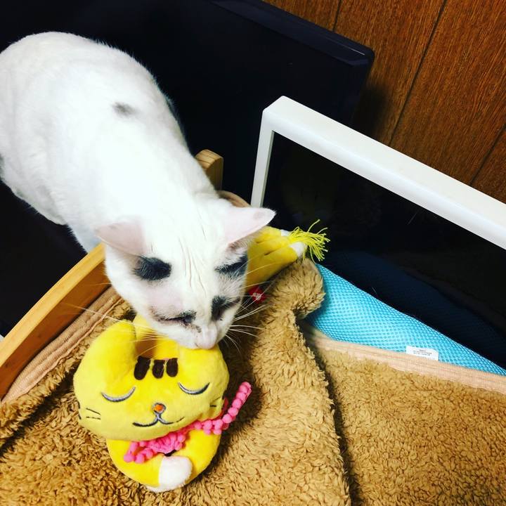 9f02073d faf1 40de a2f9 76e2ba131527 1564644073120