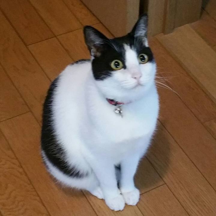 9f0209bf 338e 4015 a710 083e26f49588 1539299916005