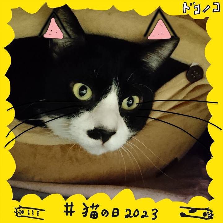 9f02169d 5ae2 4ba8 b1da a85531afc2ed 1676995967842