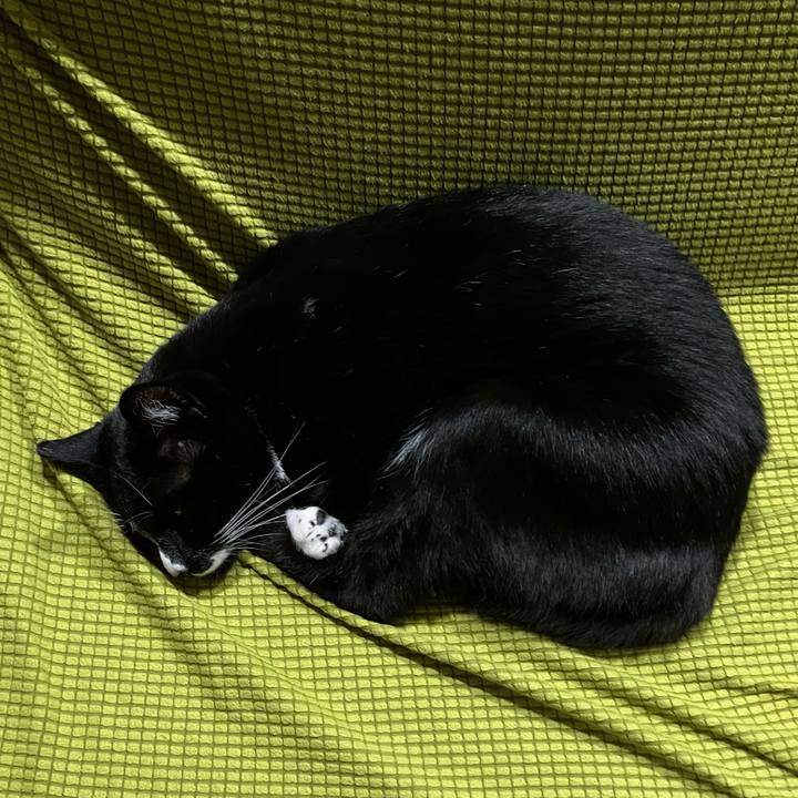 9f022168 5a0a 40e5 b039 8e7be3da2545 1672025991111