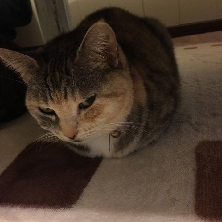 9f028ab1 3e38 4598 97ef b6e4528884a3 1554045047553