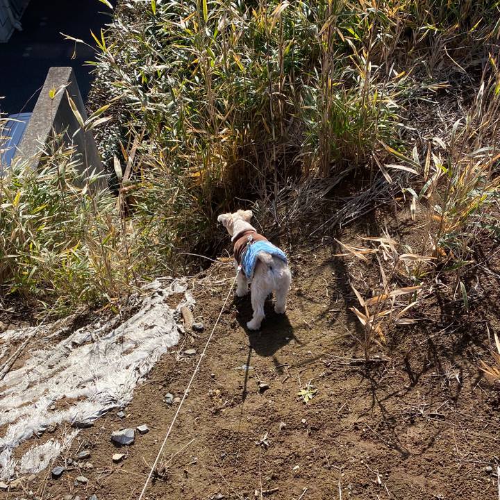 9f02987c ac13 4a94 a1b6 889120ab12cb 1579256109994