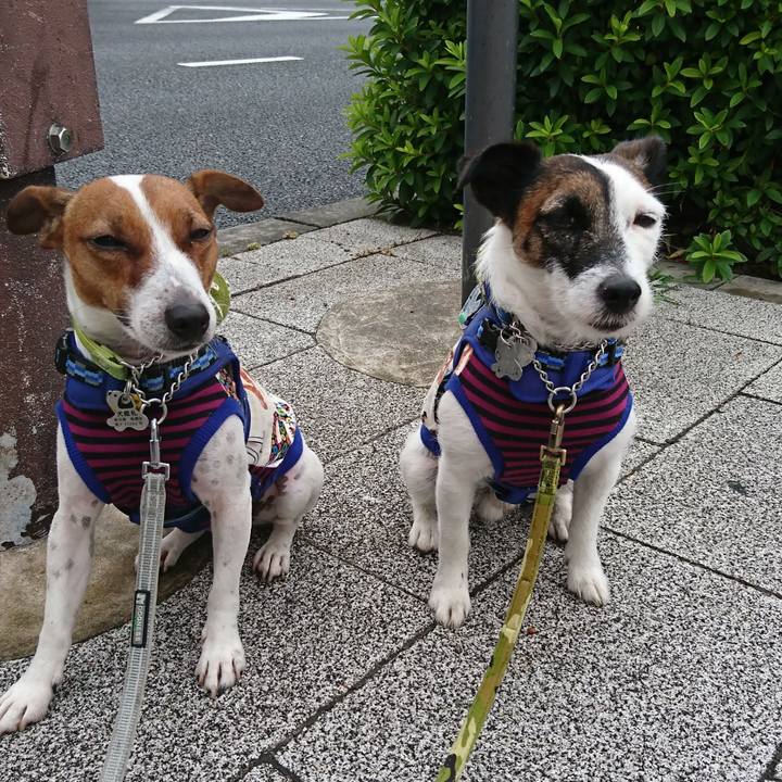 9f02aeb2 884e 492e a3e7 96747fd82eda 1559512325008